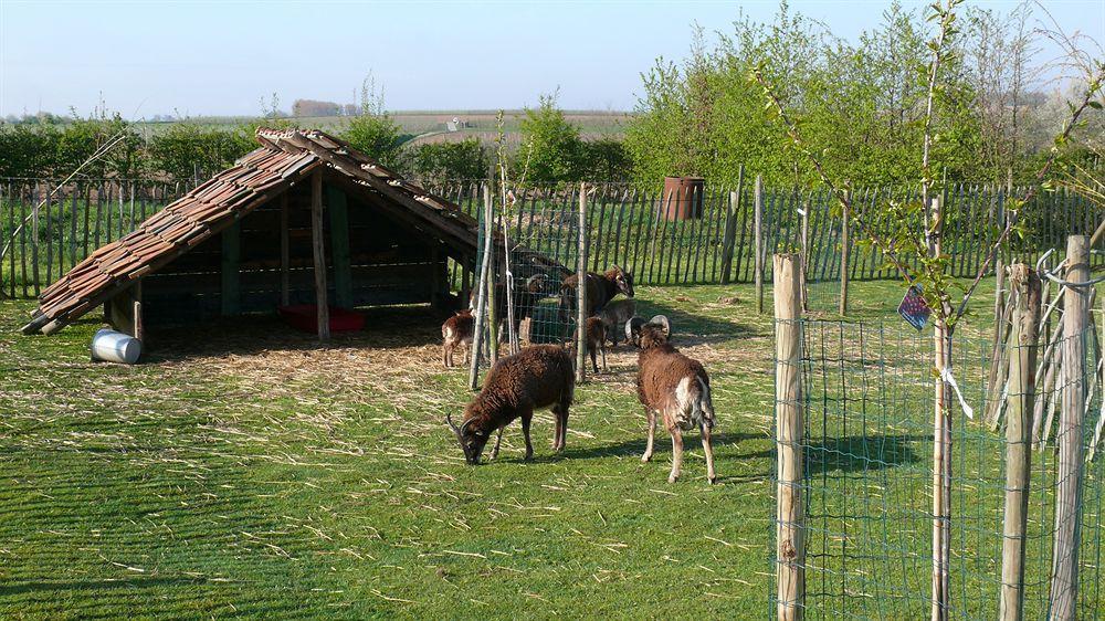 Rikkeshoeve Vakantiewoning Aalst Εξωτερικό φωτογραφία